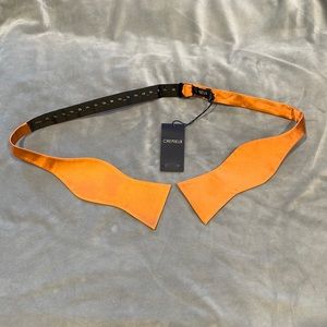 NWT Cremieux Men’s Bow Tie